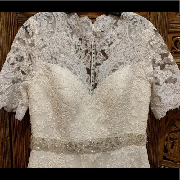 Venus bridals 🦋🦋🦋🦋🦋 - Picture 3 of 7